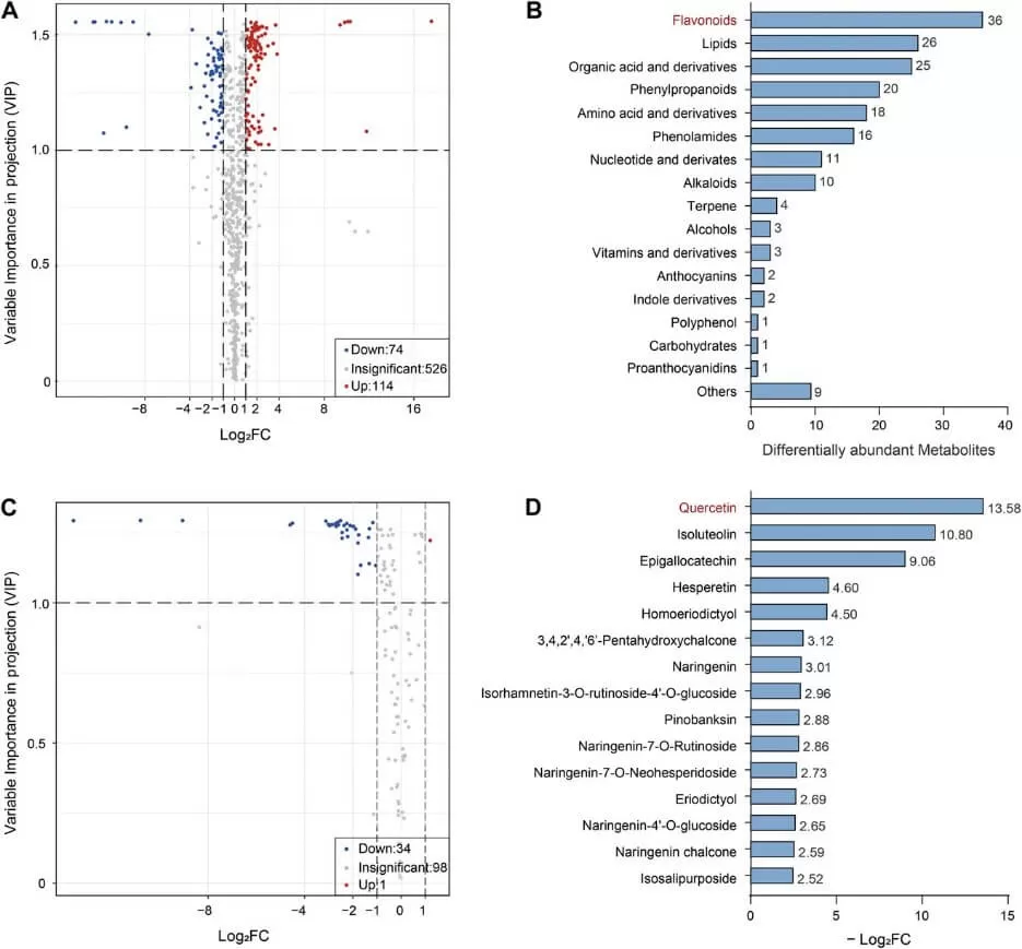 Widely targeted and targeted metabolomics of SlBEL11-RNAi plants (Dong et al., 2024)